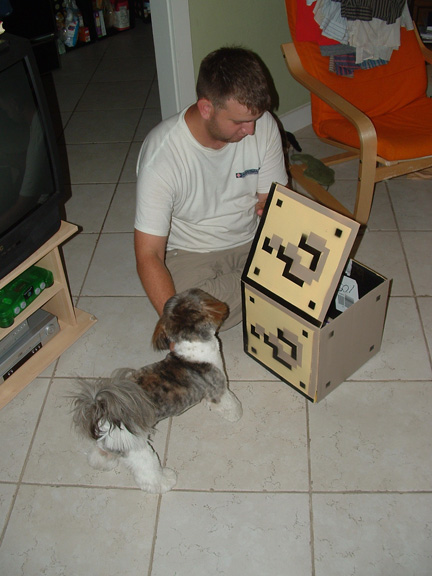 Super Mario Blocks Art Project WingDamage.com Colin Panetta 12