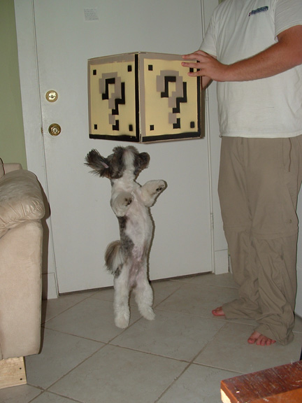 Super Mario Blocks Art Project WingDamage.com Colin Panetta 13