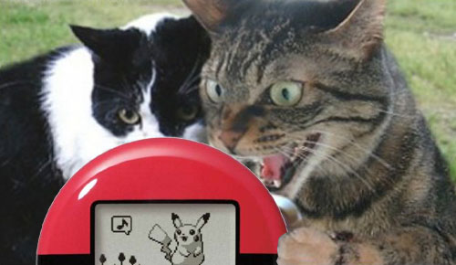 my-pokemans walker "My Pokemans Walker. Let Me Show You It."